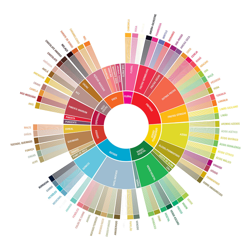 Introdução a Análise Sensorial e CVA (Coffee Value Assessment)