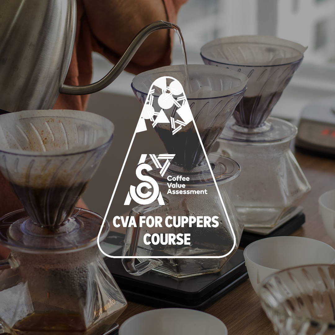 SCA CVA para Degustadores