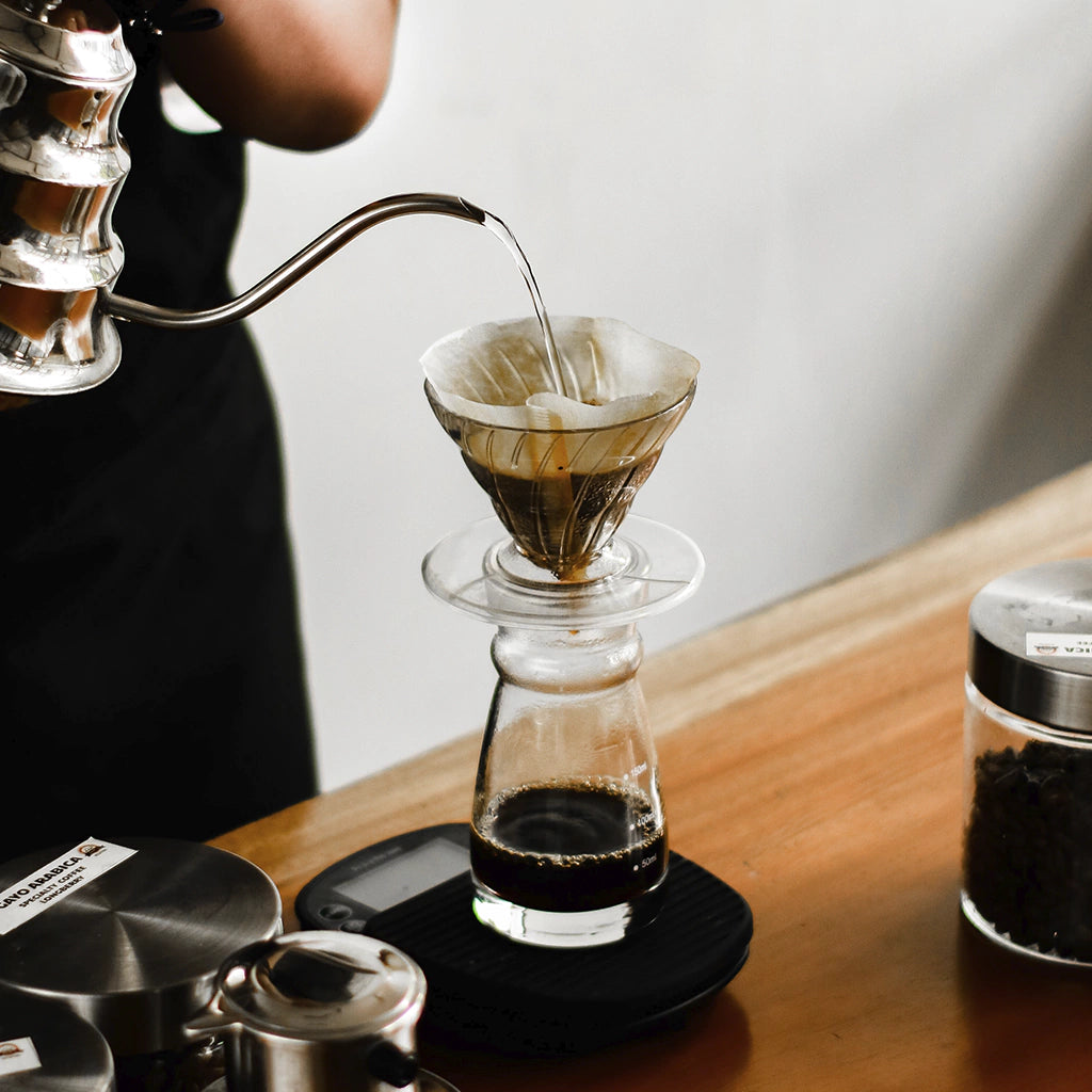 Introdução a Cafés Filtrados