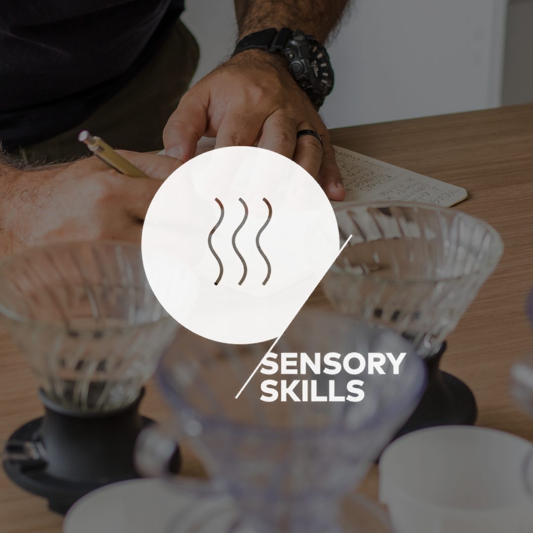 SCA Análise Sensorial Profissional